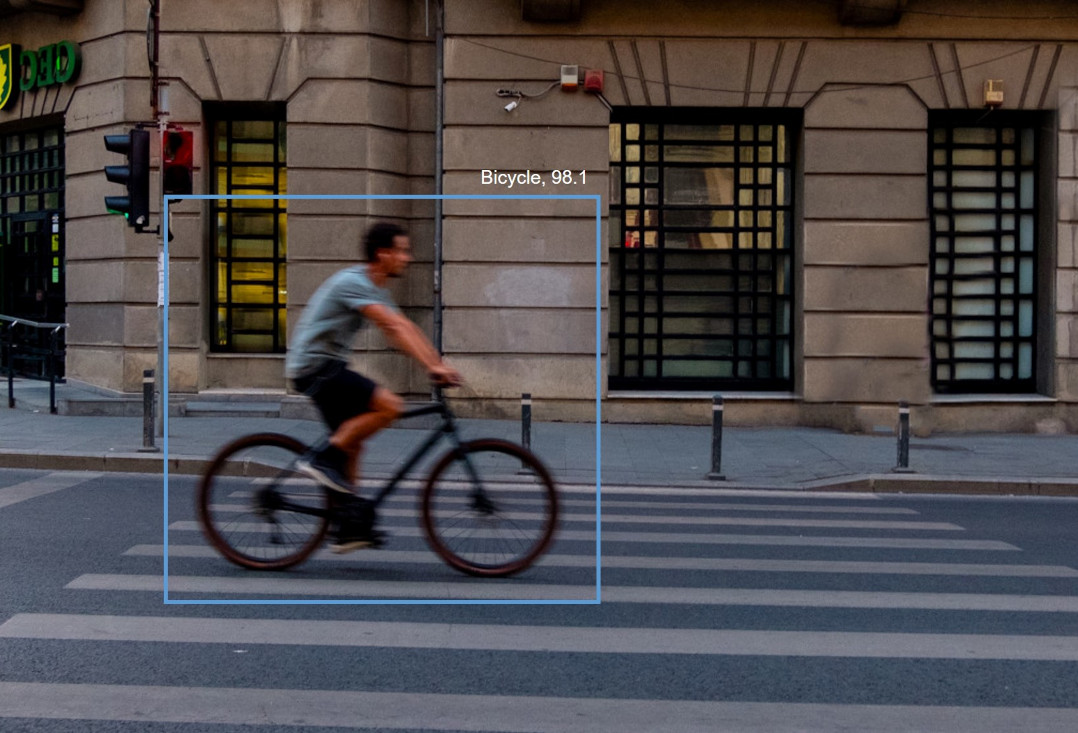 Pushing the boundaries of lightweight object detection models ...